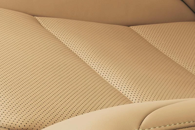 Supagard Vehicle Protection