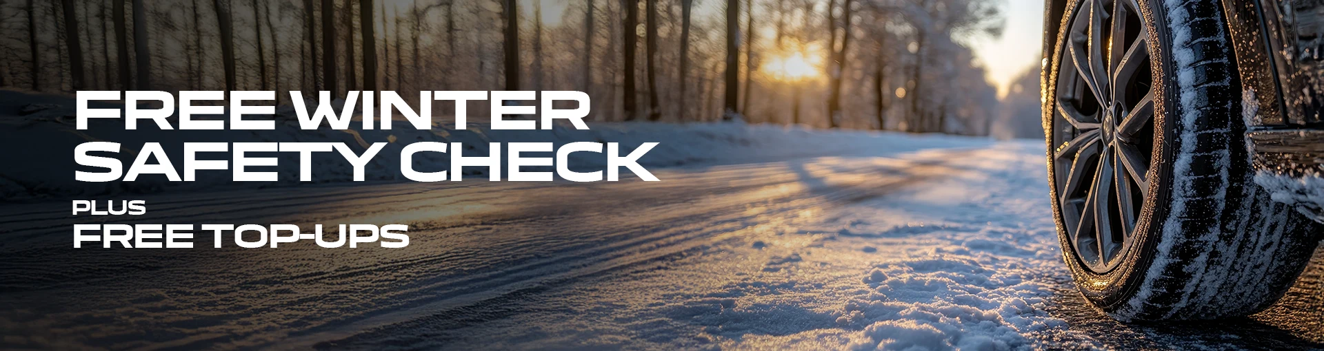 Free Winter Safety Check