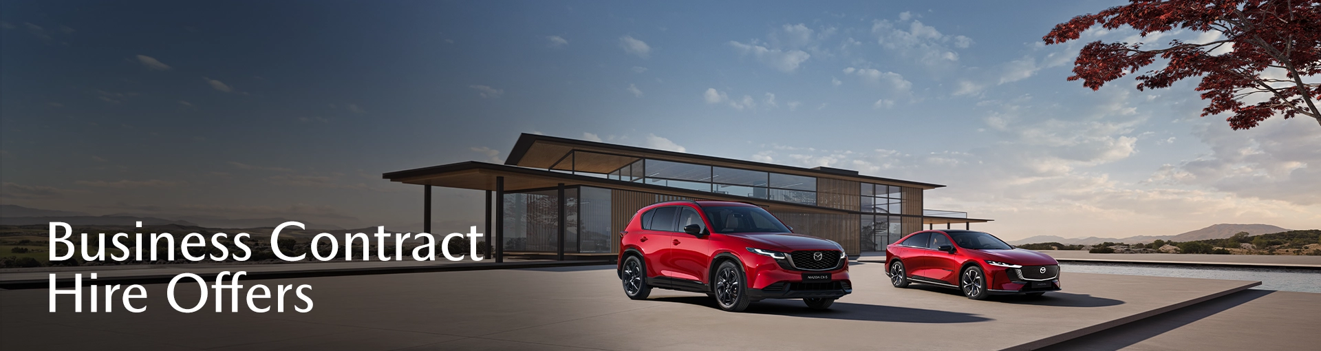 Business Offer Mazda